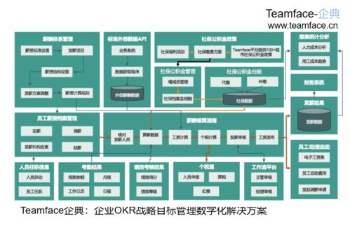 hr人力資源管理系統(tǒng)如何為企業(yè)解決薪資難題